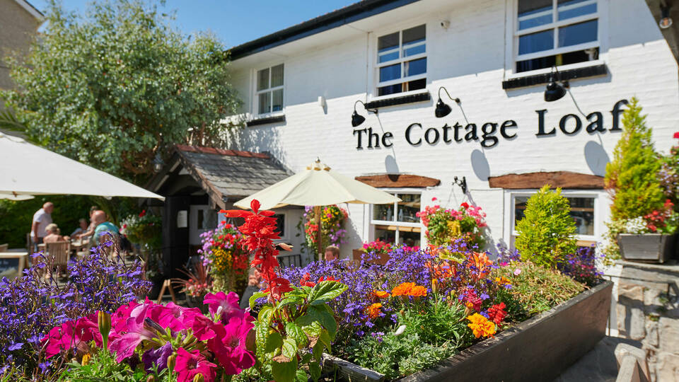 Bigcheese T038 850adjustedman